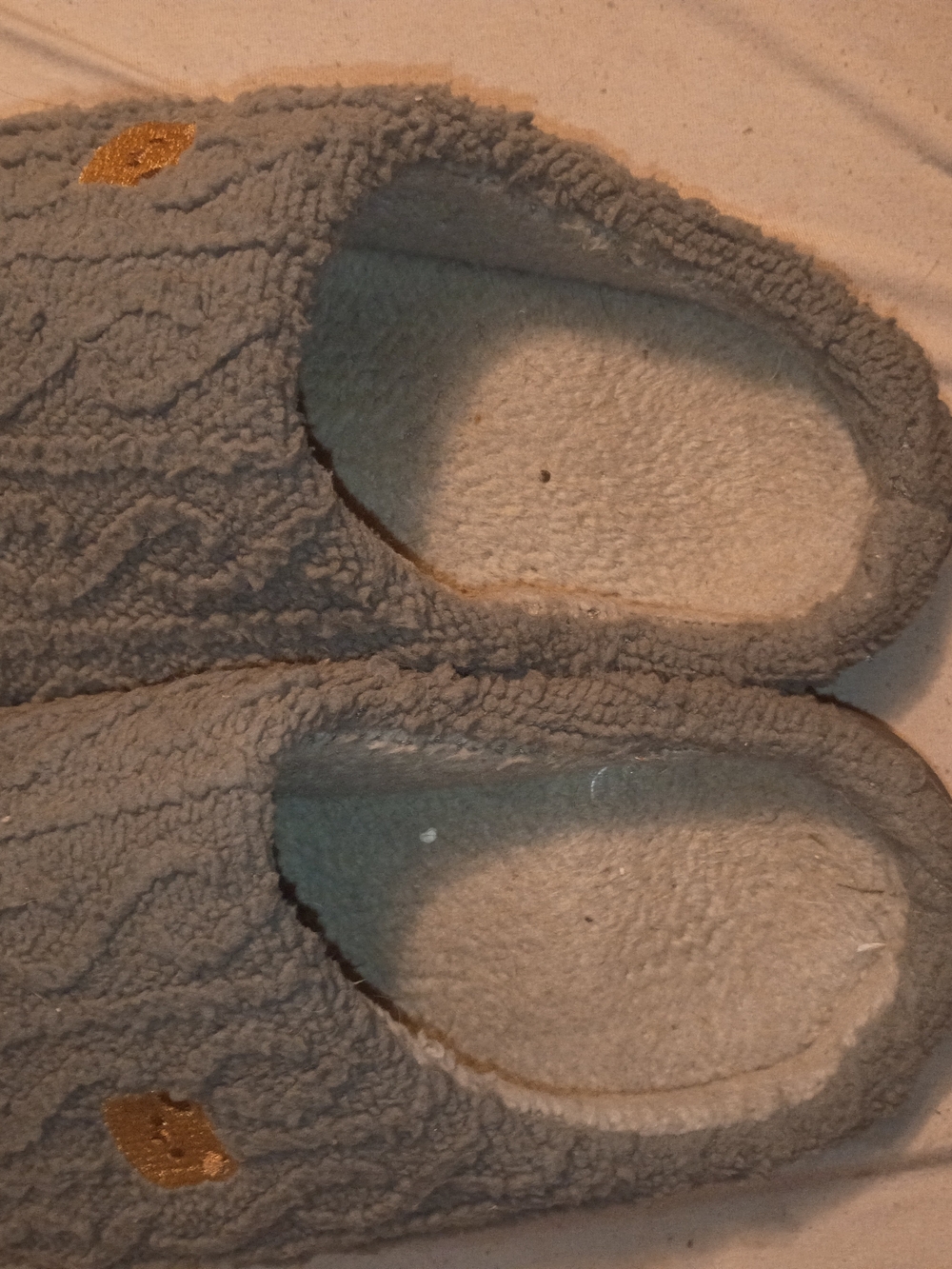 Cozy Women's Gray Fleece Slippers